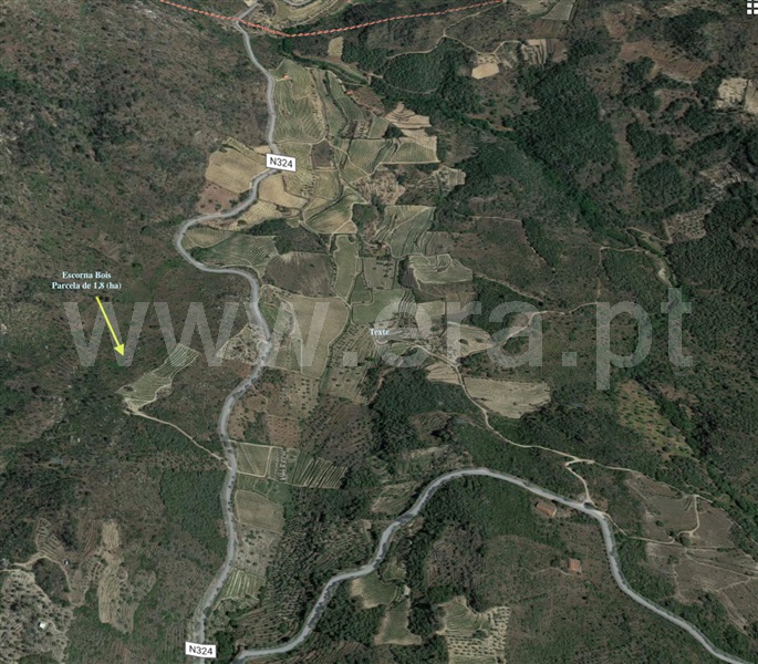 Terreno  Vila Nova de Foz Coa, Freixo de Numão - 1146804 - 2