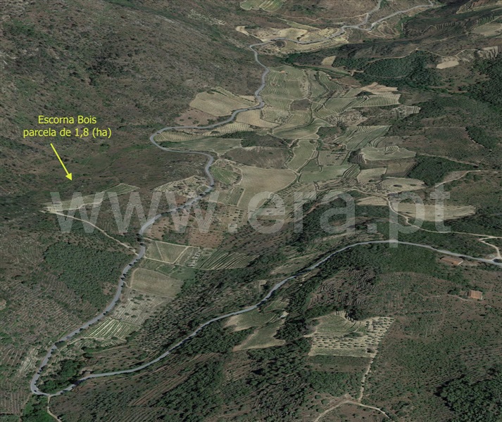 Terreno  Vila Nova de Foz Coa, Freixo de Numão - 1146804 - 3