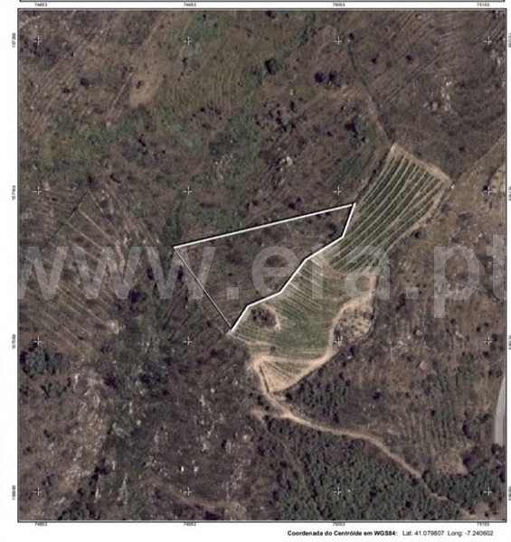 Terreno  Vila Nova de Foz Coa, Freixo de Numão - 1146804 - 4