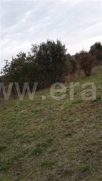 Terreno  Vila Nova de Foz Coa, Freixo de Numão - 1146804 - 5