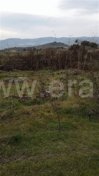 Terreno  Vila Nova de Foz Coa, Freixo de Numão - 1146804 - 6