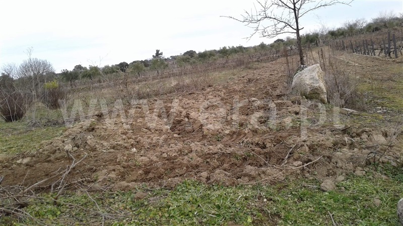 Terreno  Vila Nova de Foz Coa, Freixo de Numão - 1146804 - 7