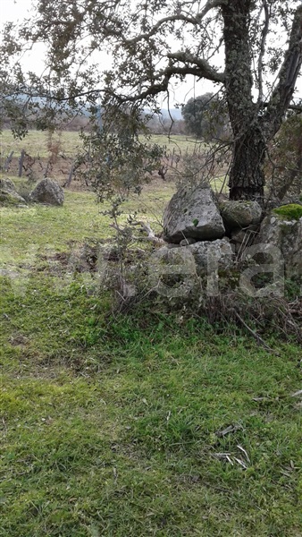 Terreno  Vila Nova de Foz Coa, Freixo de Numão - 1146804 - 10