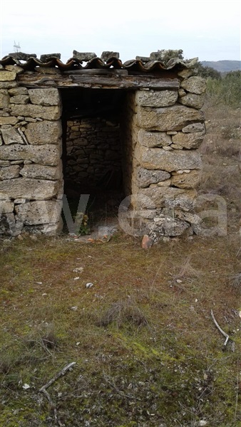 Terreno  Vila Nova de Foz Coa, Freixo de Numão - 1146804 - 11