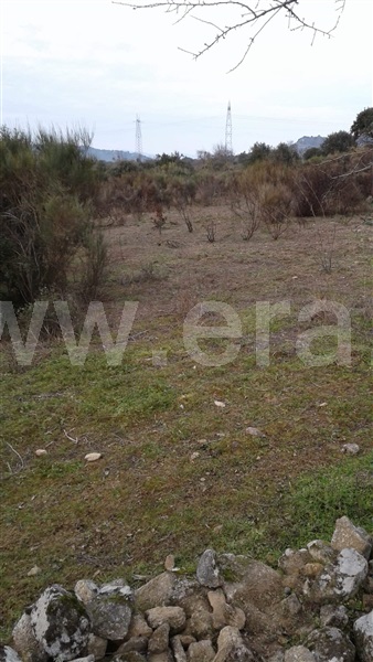 Terreno  Vila Nova de Foz Coa, Freixo de Numão - 1146804 - 12