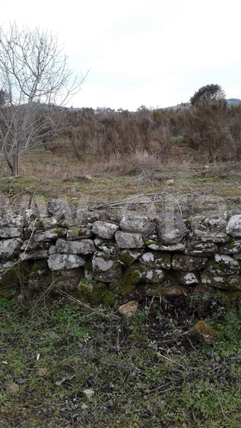 Terreno  Vila Nova de Foz Coa, Freixo de Numão - 1146804 - 13