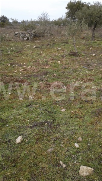 Terreno  Vila Nova de Foz Coa, Freixo de Numão - 1146804 - 16