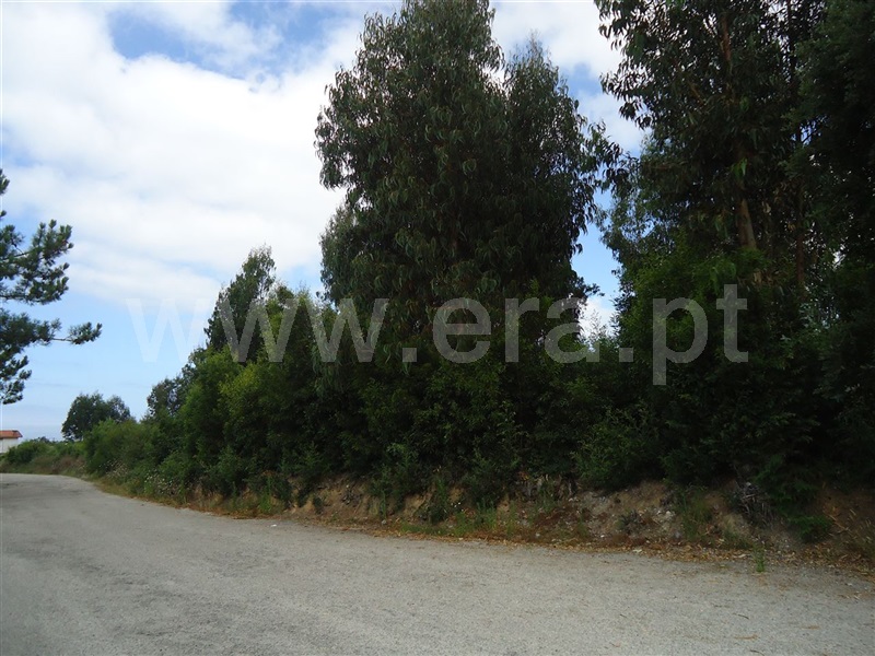 Terreno  Vila Nova de Gaia, A5 - Granja - 108862 - 5