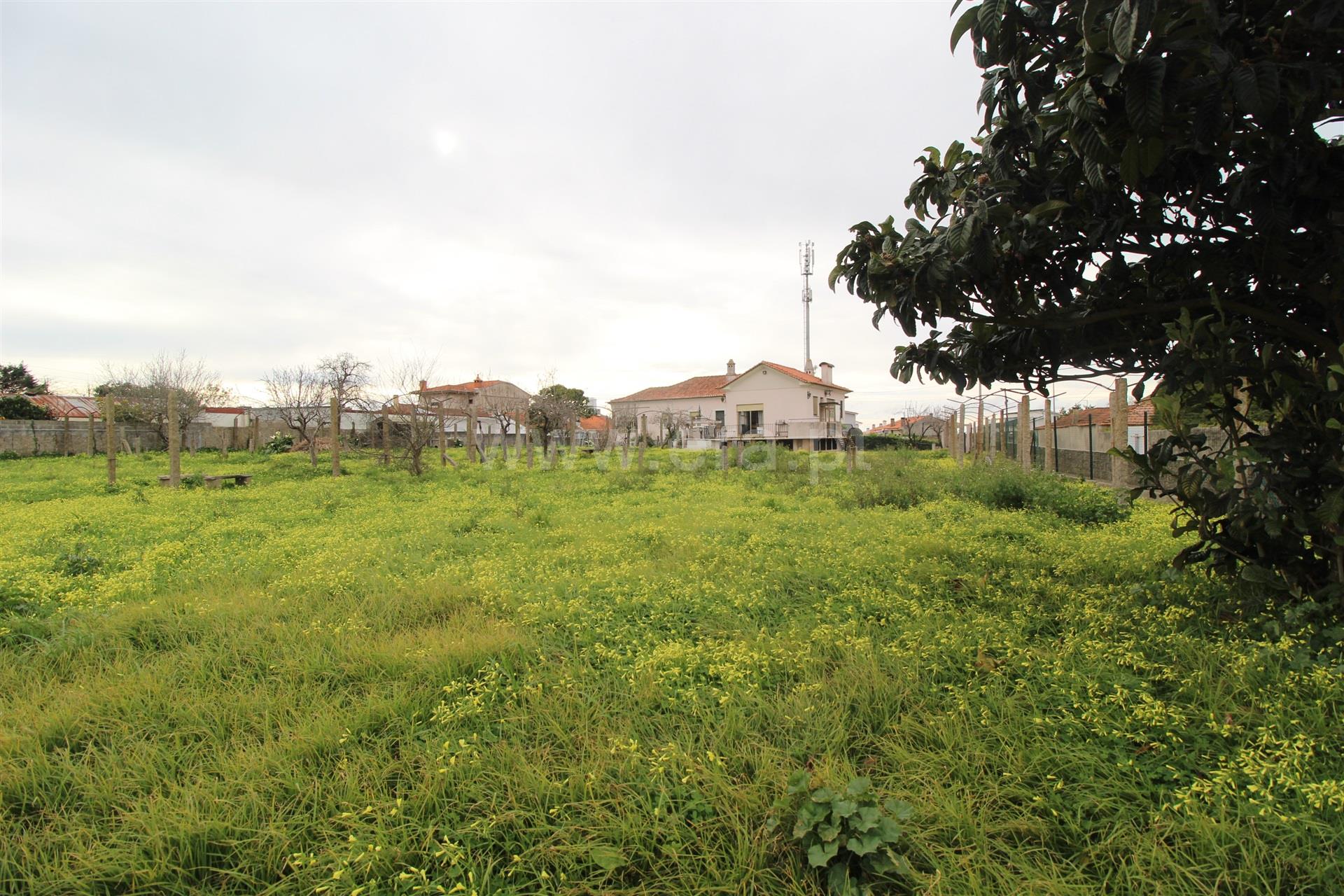 Land for sale in Vila Nova de Gaia, Portugal — €100,000