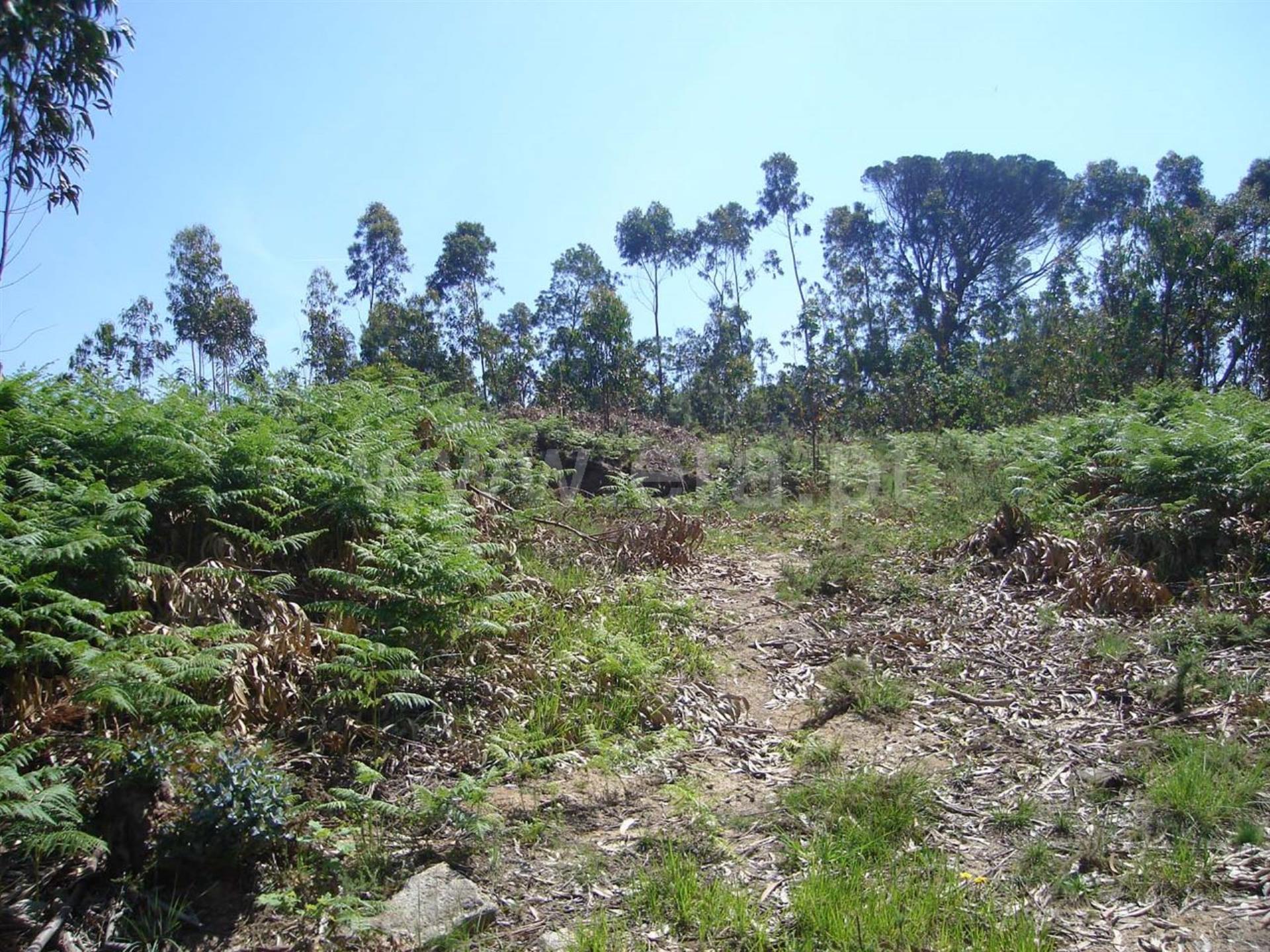 Land for sale in Vila Nova de Gaia, Portugal — €193,000