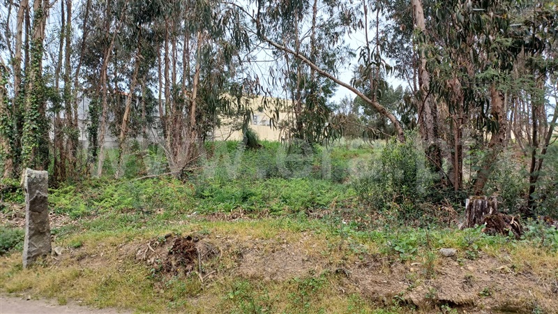 Terreno / Vila Nova de Gaia, Canelas
