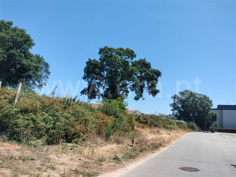 Terreno / Vila Nova de Gaia, Canidelo