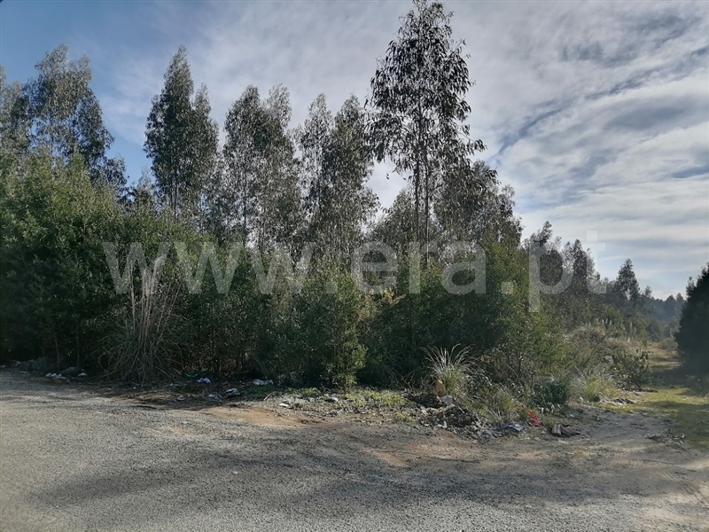 Terreno  Vila Nova de Gaia, Grijó e Sermonde - 1305405 - 3