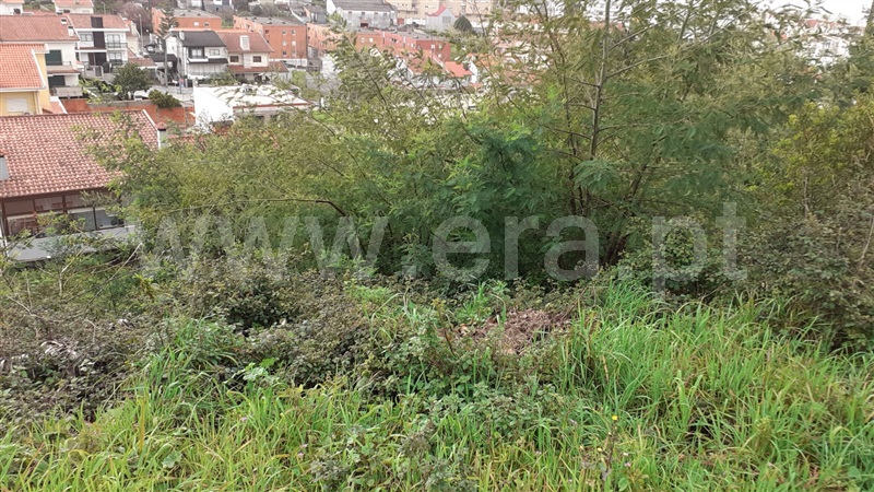 Terreno  Vila Nova de Gaia, Grijó e Sermonde - 1313391 - 5