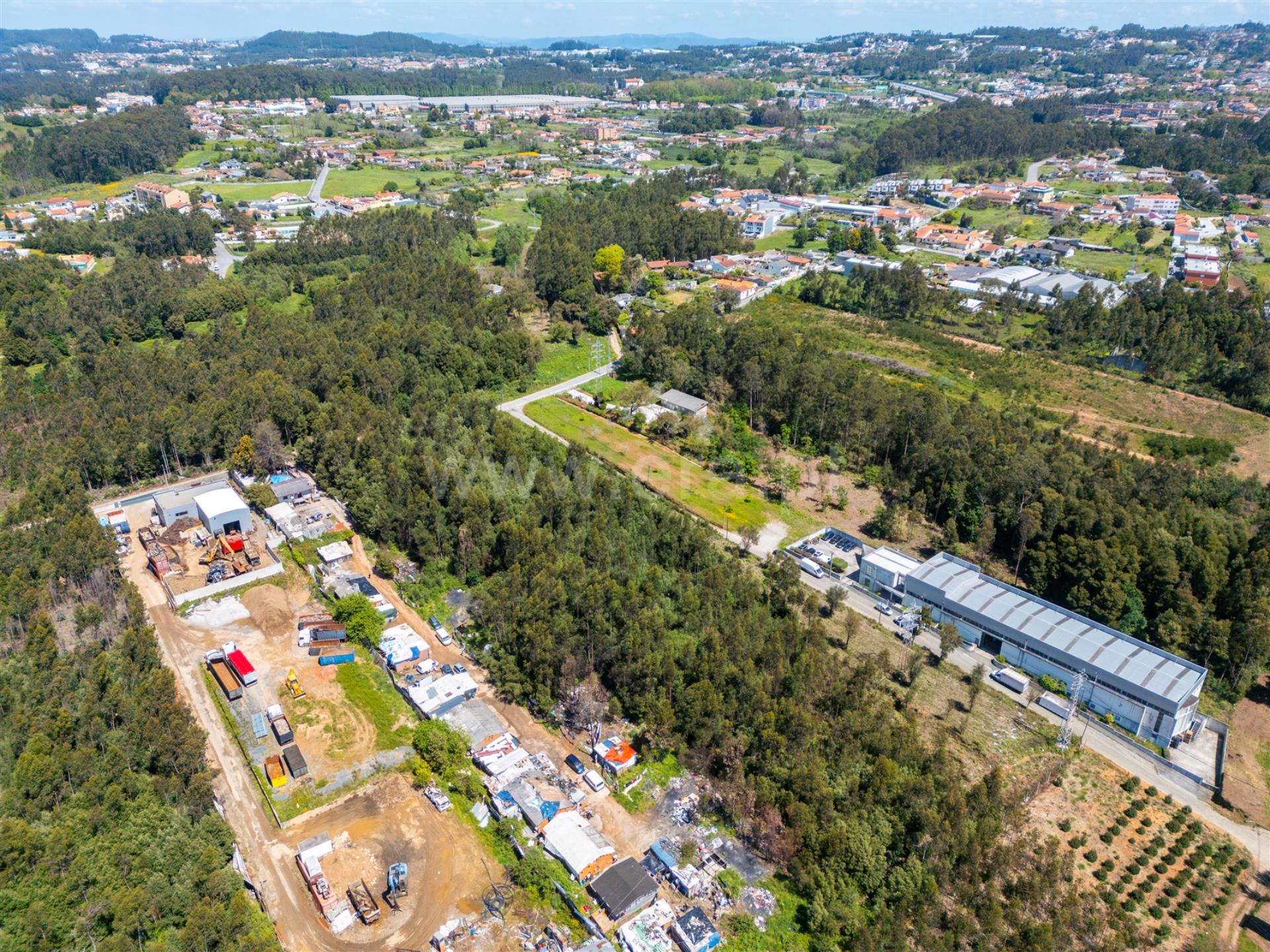 Terreno 