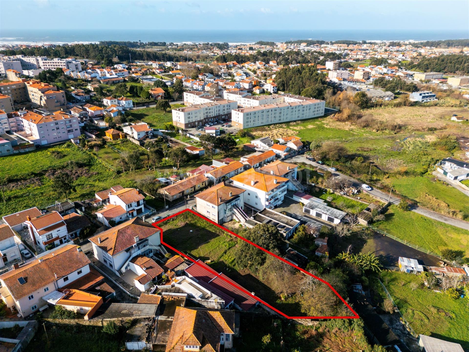 Terreno