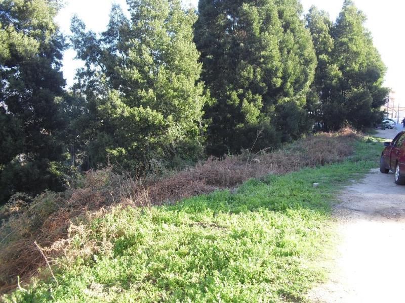 Terreno / Vila Nova de Gaia, Oliveira do Douro