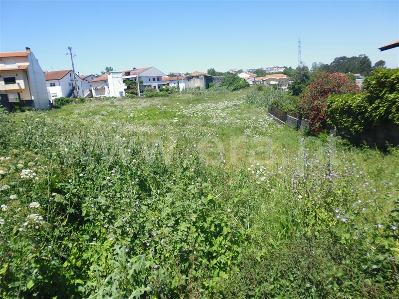Terreno / Vila Nova de Gaia, Oliveira do Douro