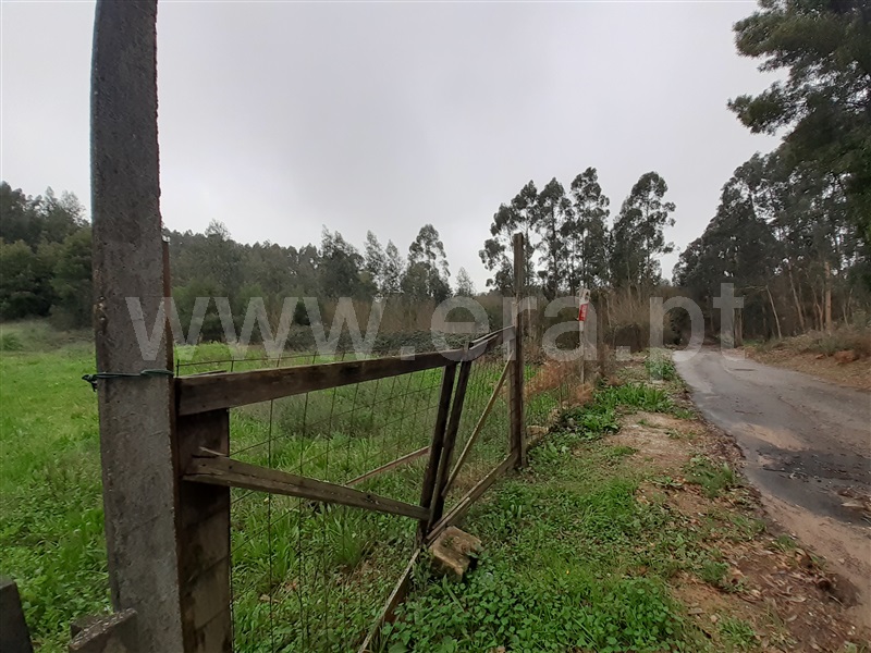 Terreno  Vila Nova de Gaia, Pedroso e Seixezelo - 1297974 - 5