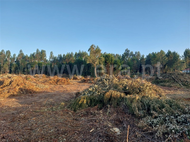 Terreno  Vila Nova de Gaia, Pedroso e Seixezelo - 1348190 - 11
