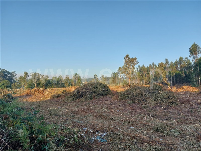 Terreno  Vila Nova de Gaia, Pedroso e Seixezelo - 1348190 - 13