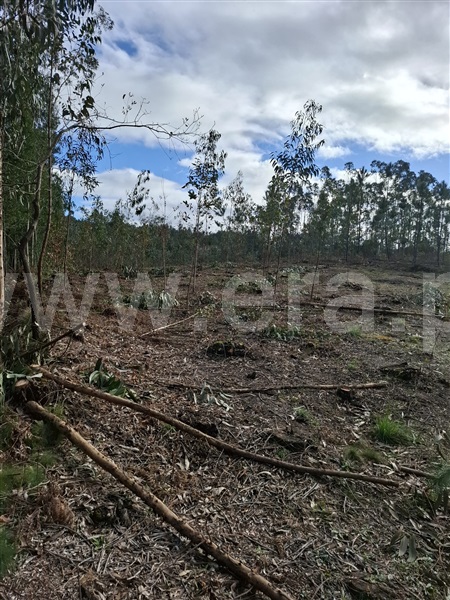 Terreno  Vila Nova de Gaia, Pedroso e Seixezelo - 1501673 - 1