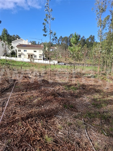 Terreno  Vila Nova de Gaia, Pedroso e Seixezelo - 1501673 - 4