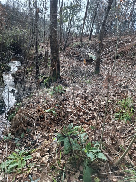 Terreno  Vila Nova de Gaia, Pedroso e Seixezelo - 1501673 - 6