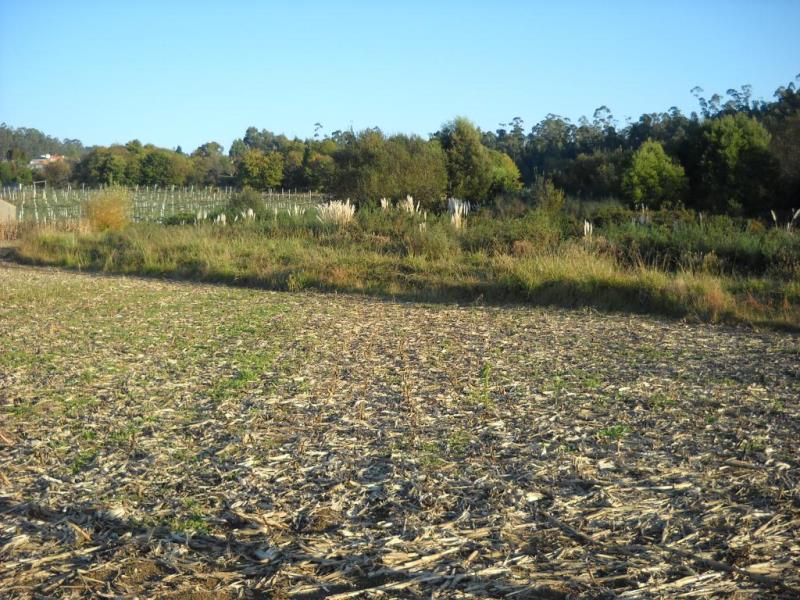 Terreno / Vila Nova de Gaia, PER1 - Sirgueiros