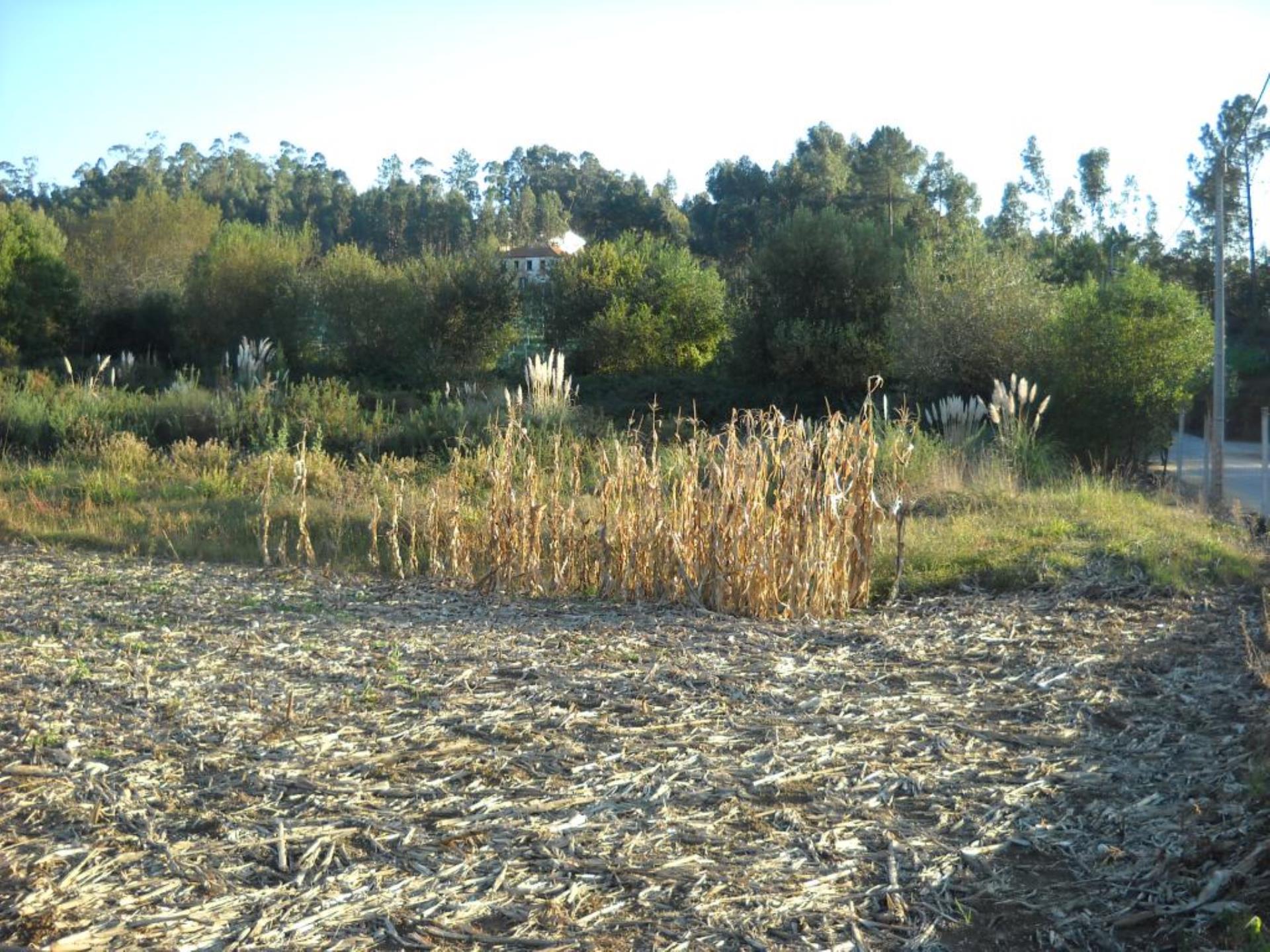 Land for sale in Vila Nova de Gaia, Portugal — €109,000