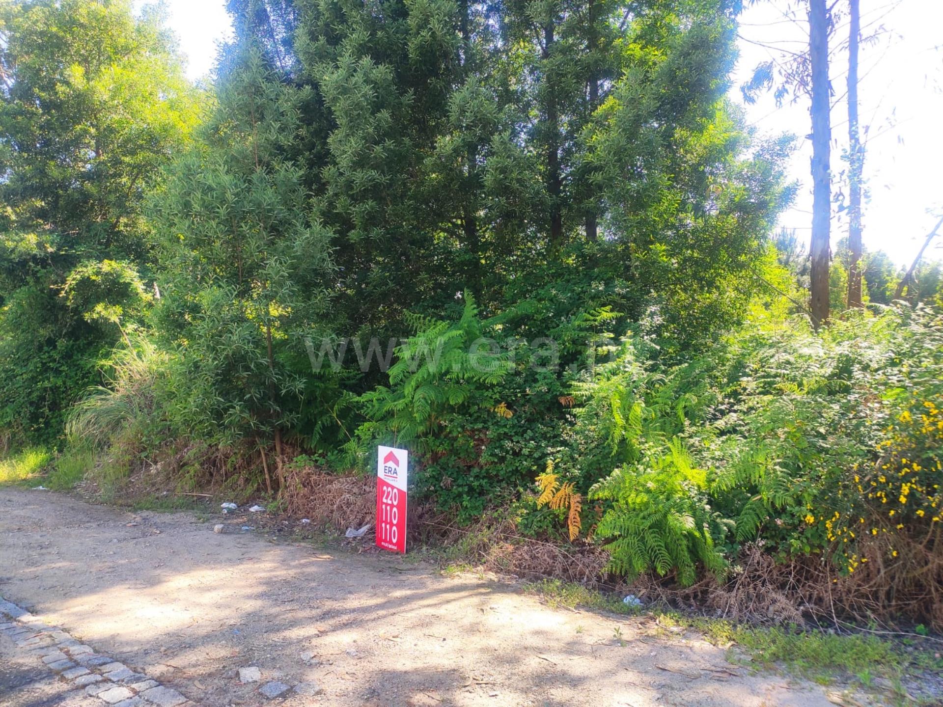 Land for sale in Vila Nova de Gaia, Portugal — €212,500