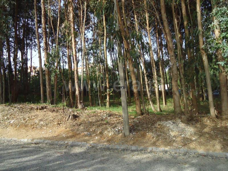 Terreno / Vila Nova de Gaia, PER2 - Mouta