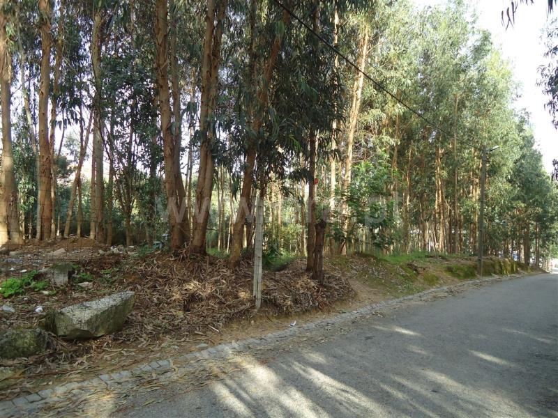 Terreno  Vila Nova de Gaia, PER2 - Mouta - 107554 - 3
