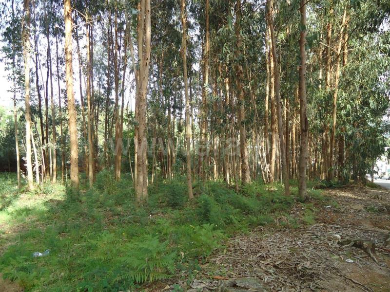 Terreno  Vila Nova de Gaia, PER2 - Mouta - 107554 - 4