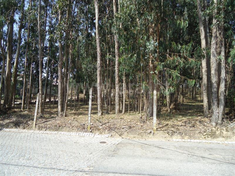 Terreno / Vila Nova de Gaia, PER2 - Mouta
