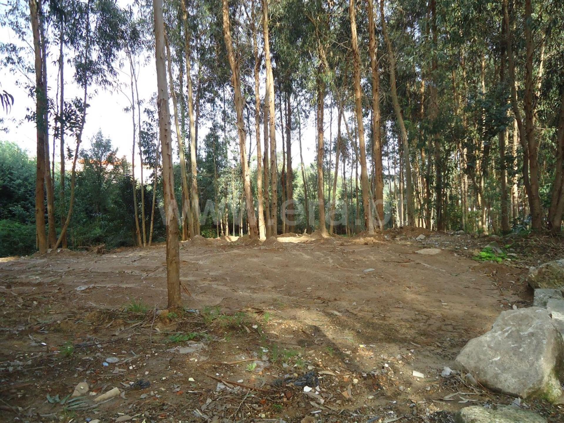 Land for sale in Vila Nova de Gaia, Portugal — €132,500