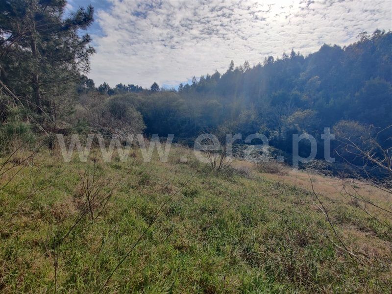Terreno  Vila Nova de Gaia, Sandim, Olival, Lever e Crestuma - 1311141 - 2