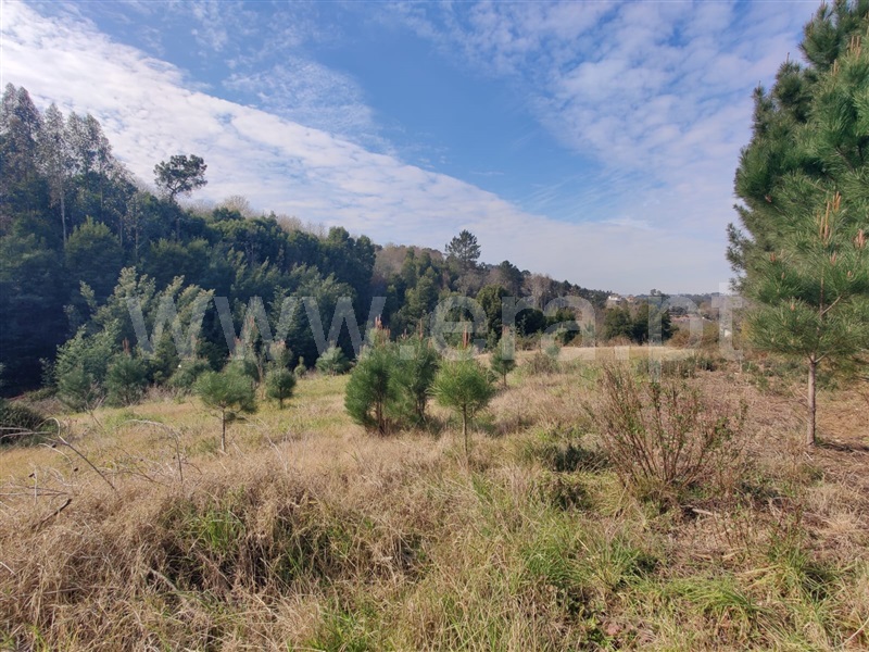 Terreno  Vila Nova de Gaia, Sandim, Olival, Lever e Crestuma - 1311141 - 10