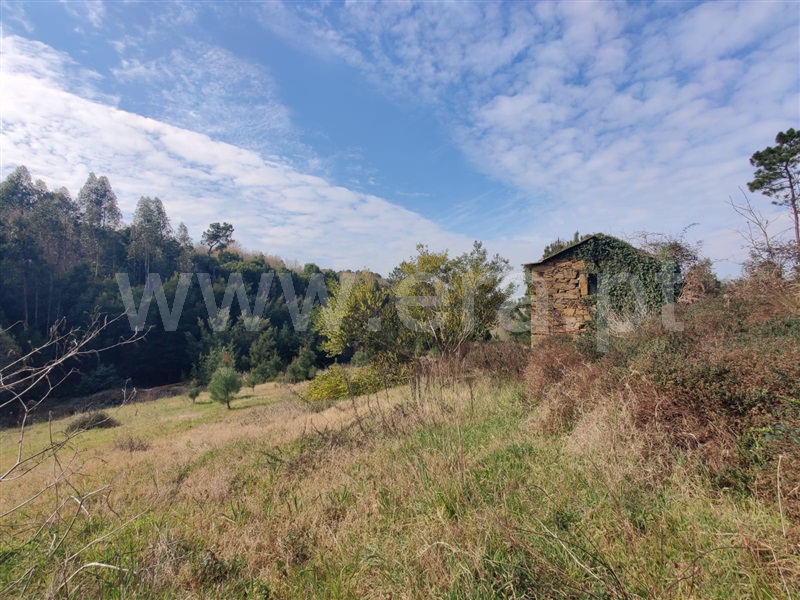 Terreno  Vila Nova de Gaia, Sandim, Olival, Lever e Crestuma - 1311141 - 13