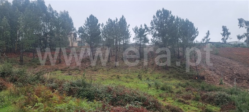 Terreno / Vila Nova de Gaia, Sandim, Olival, Lever e Crestuma