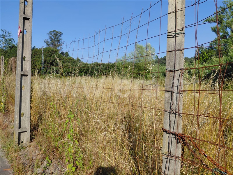 Terreno  Vila Nova de Gaia, Sandim, Olival, Lever e Crestuma - 1485648 - 3