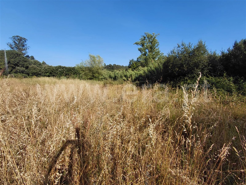 Terreno  Vila Nova de Gaia, Sandim, Olival, Lever e Crestuma - 1485648 - 7