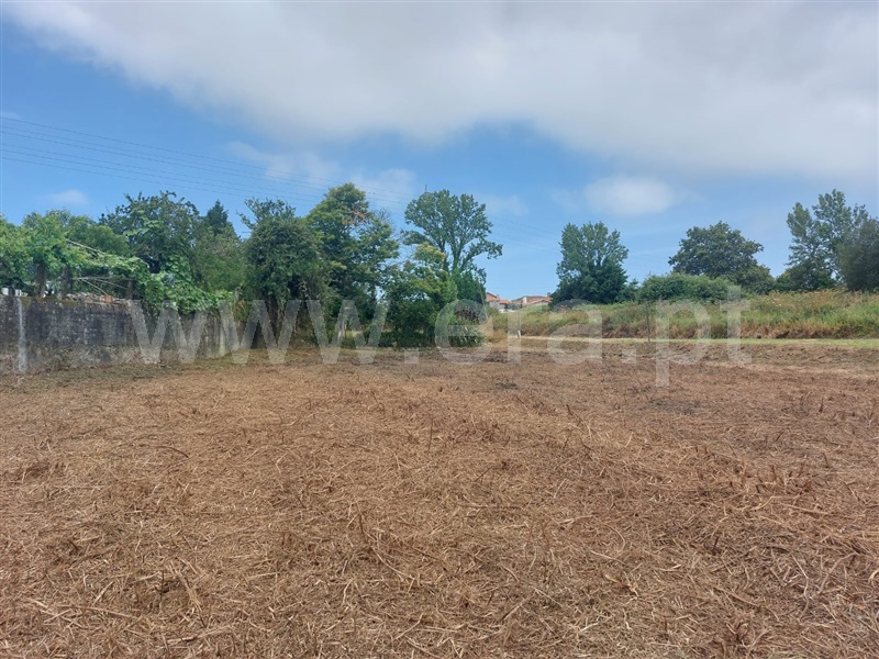 Terreno / Vila Nova de Gaia, Sandim, Olival, Lever e Crestuma