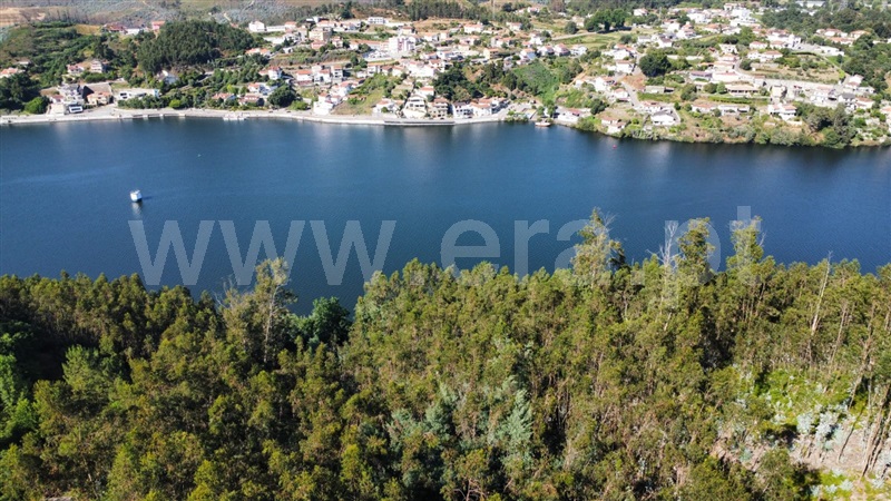 Terreno  Vila Nova de Gaia, Sandim, Olival, Lever e Crestuma - 1493769 - 2