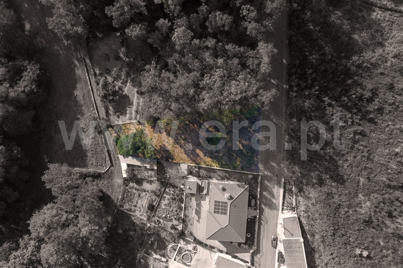 Terreno / Vila Nova de Gaia, Sandim, Olival, Lever e Crestuma