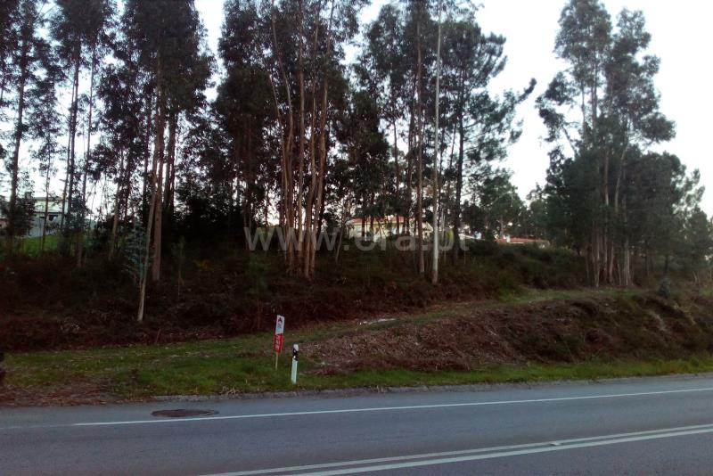 Terreno / Vila Nova de Gaia, Sandim, Olival, Lever e Crestuma