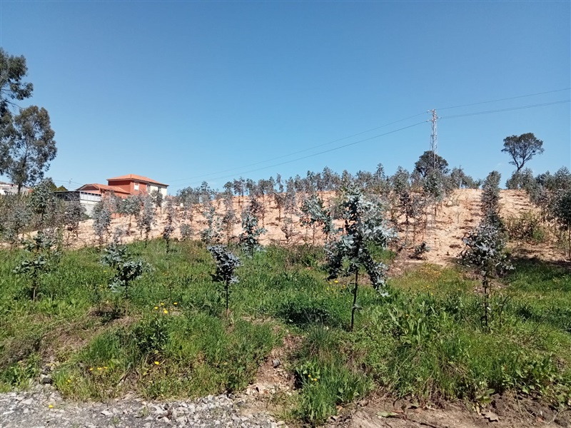 Terreno / Vila Nova de Gaia, São Félix da Marinha IV