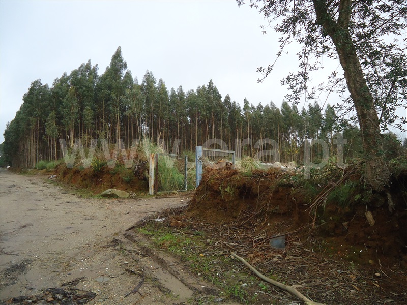 Terreno  Vila Nova de Gaia, Serzedo e Perosinho - 1285437 - 11