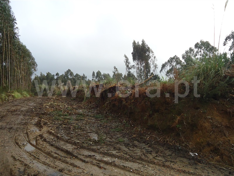Terreno  Vila Nova de Gaia, Serzedo e Perosinho - 1285437 - 12