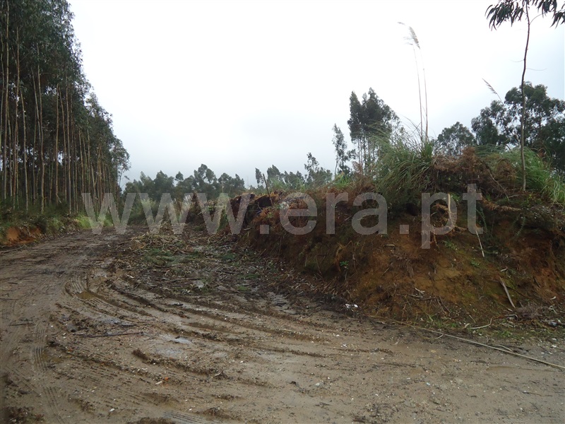 Terreno  Vila Nova de Gaia, Serzedo e Perosinho - 1285437 - 14